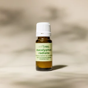 eucalyptus essential oil bottle