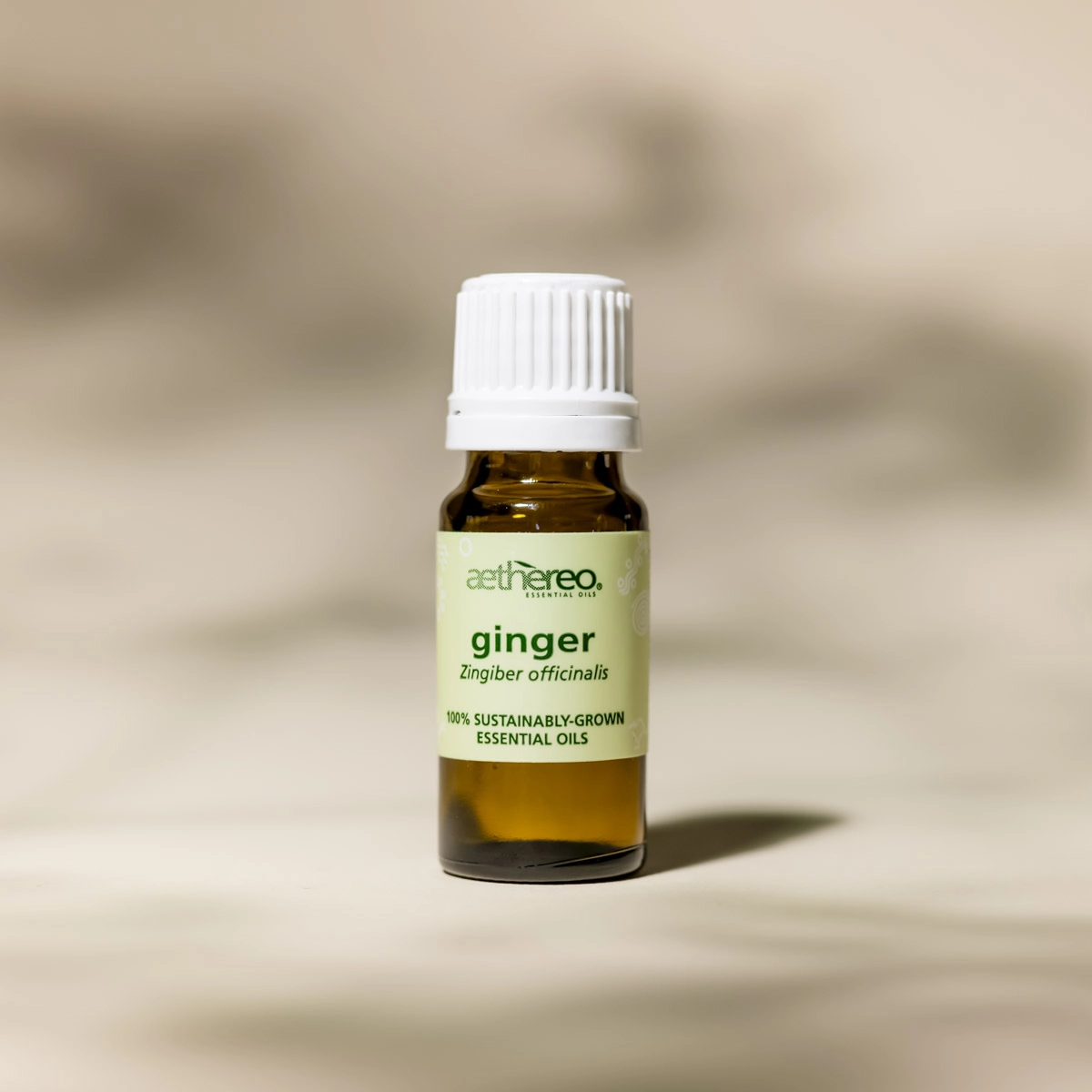 GINGER Essential Oil