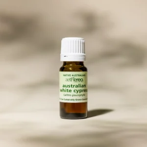 Australian White Cypress essential oil bottle